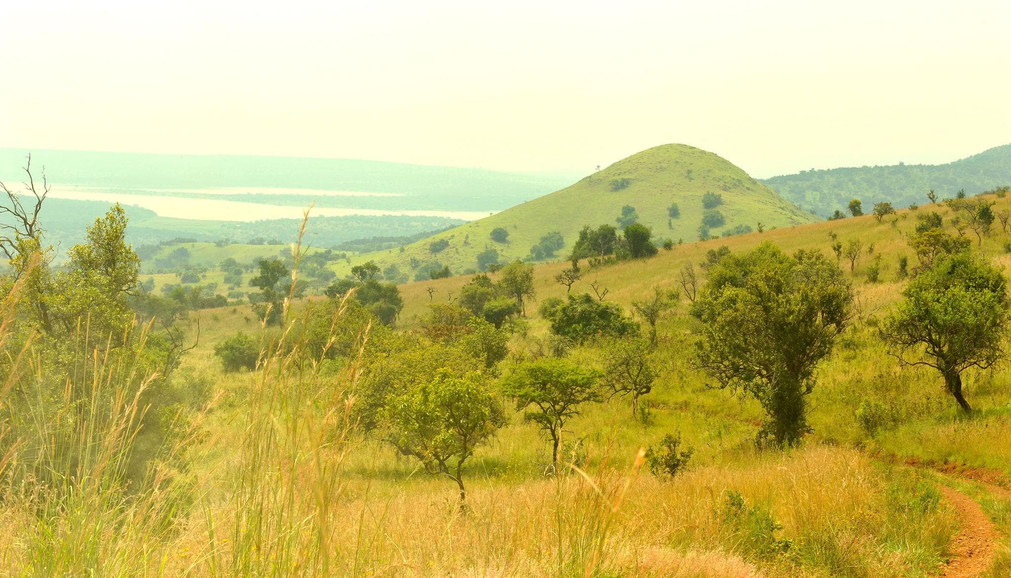 Nature Walks & Guided Walking Safaris - Photo 4