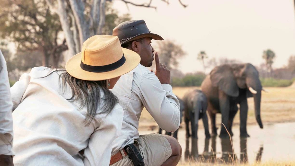 Nature Walks & Guided Walking Safaris