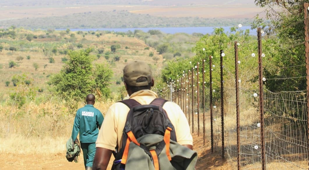 Nature Walks & Guided Walking Safaris - Photo 1