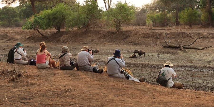 Nature Walks & Guided Walking Safaris - Photo 2