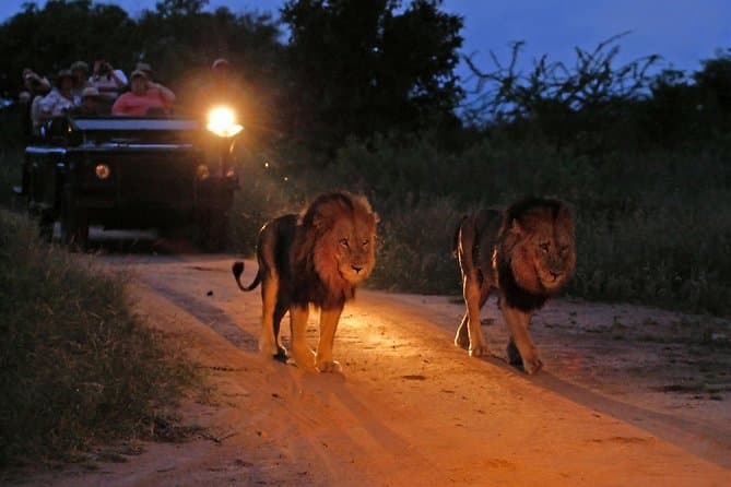 Night Safari in Akagera - Photo 1