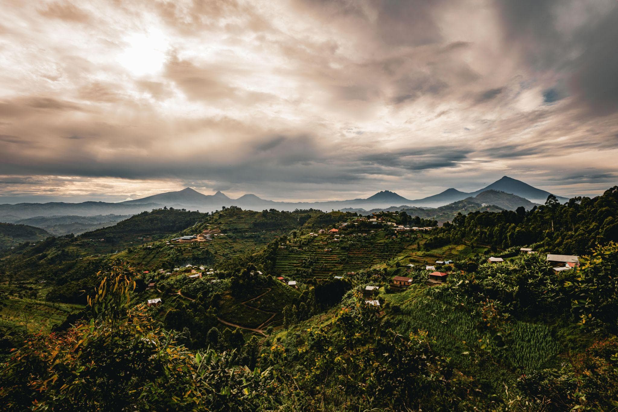 Custom Tailor-Made Safari